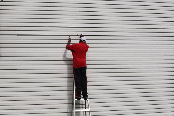 Best Siding Painting and Refinishing  in Zephyrhills North, FL