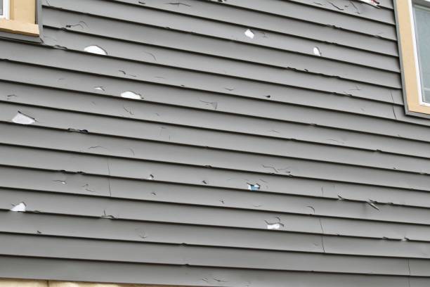 How To Choose The Right Materials for Your Siding Installation in 'Zephyrhills North, FL