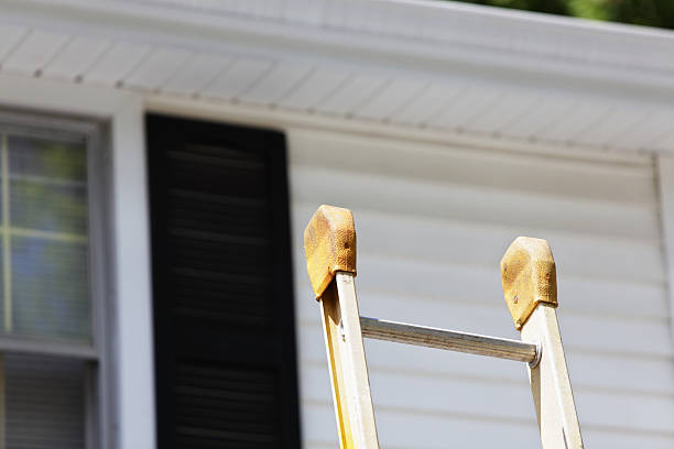 Best Storm Damage Siding Repair  in Zephyrhills North, FL