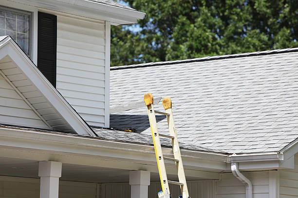 Best Insulated Siding Installation  in Zephyrhills North, FL